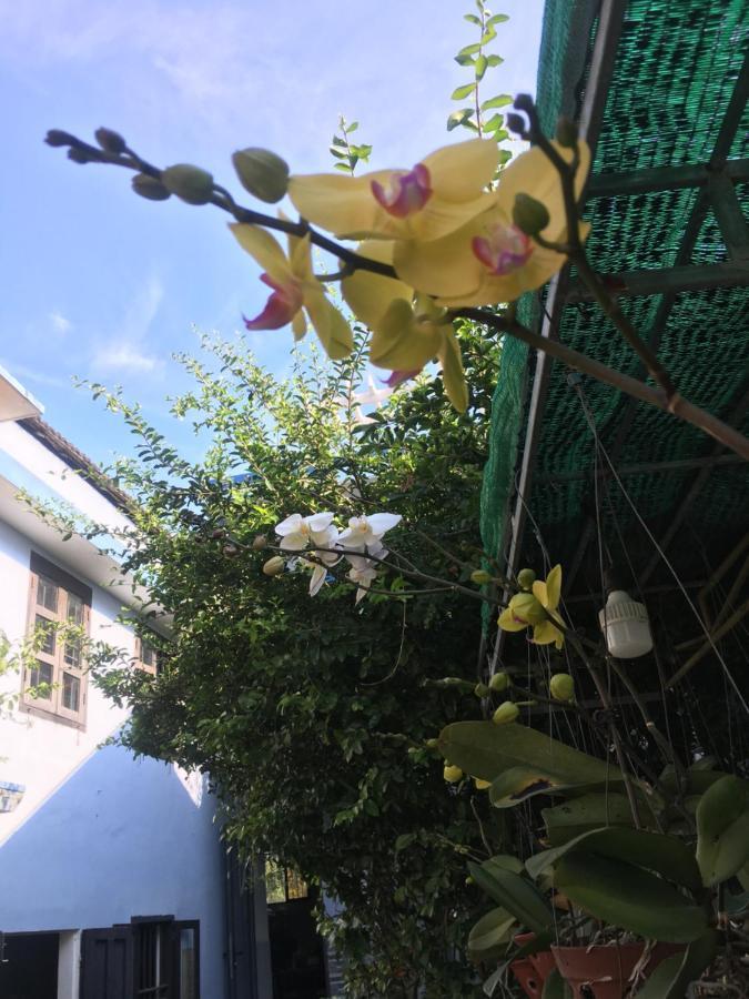 Cherry Garden Homestay Hội An Extérieur photo