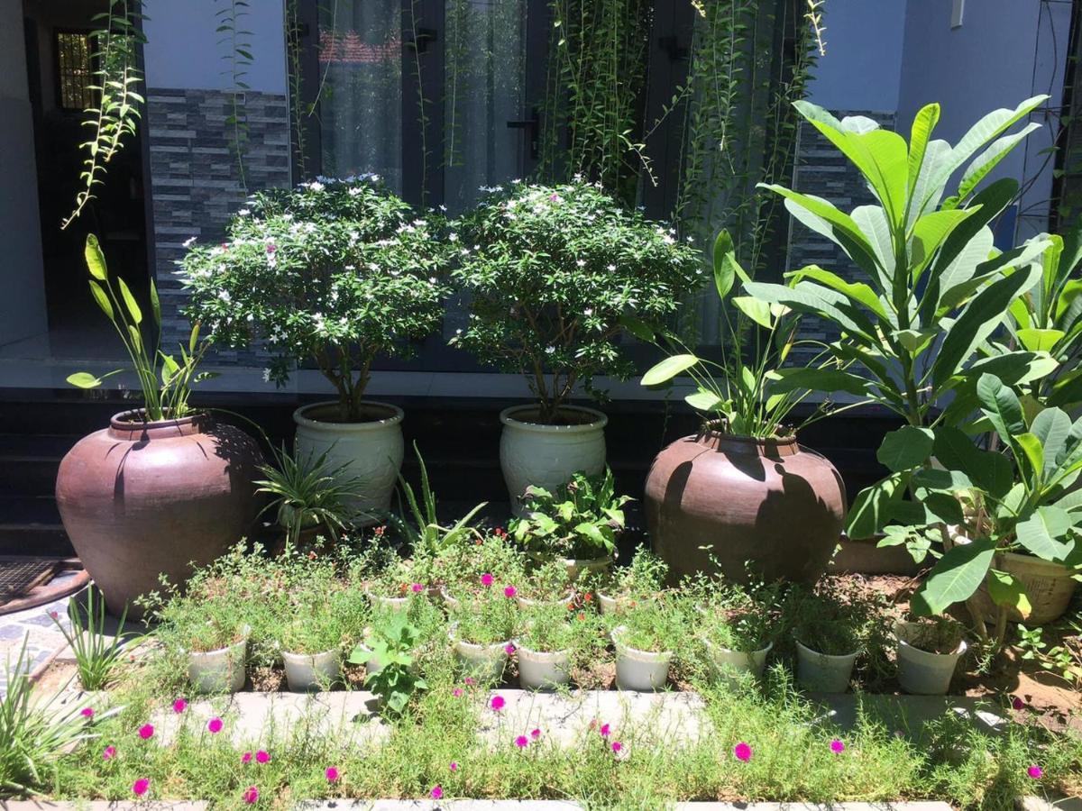 Cherry Garden Homestay Hội An Extérieur photo