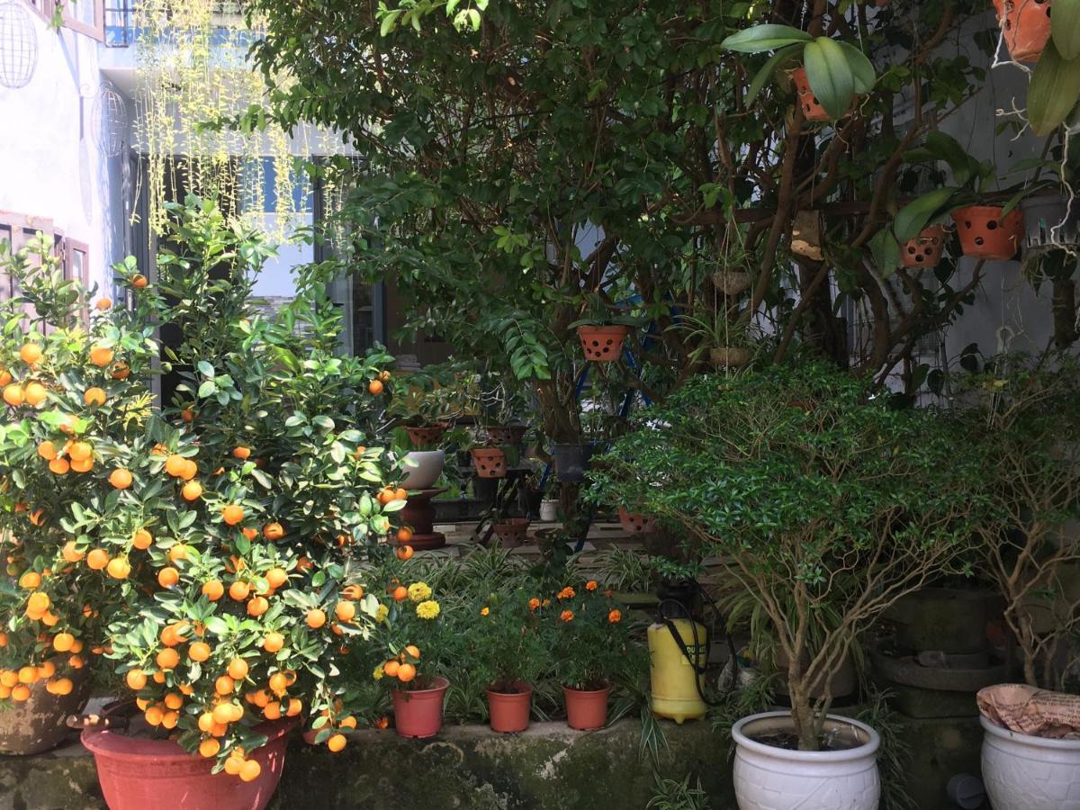 Cherry Garden Homestay Hội An Extérieur photo